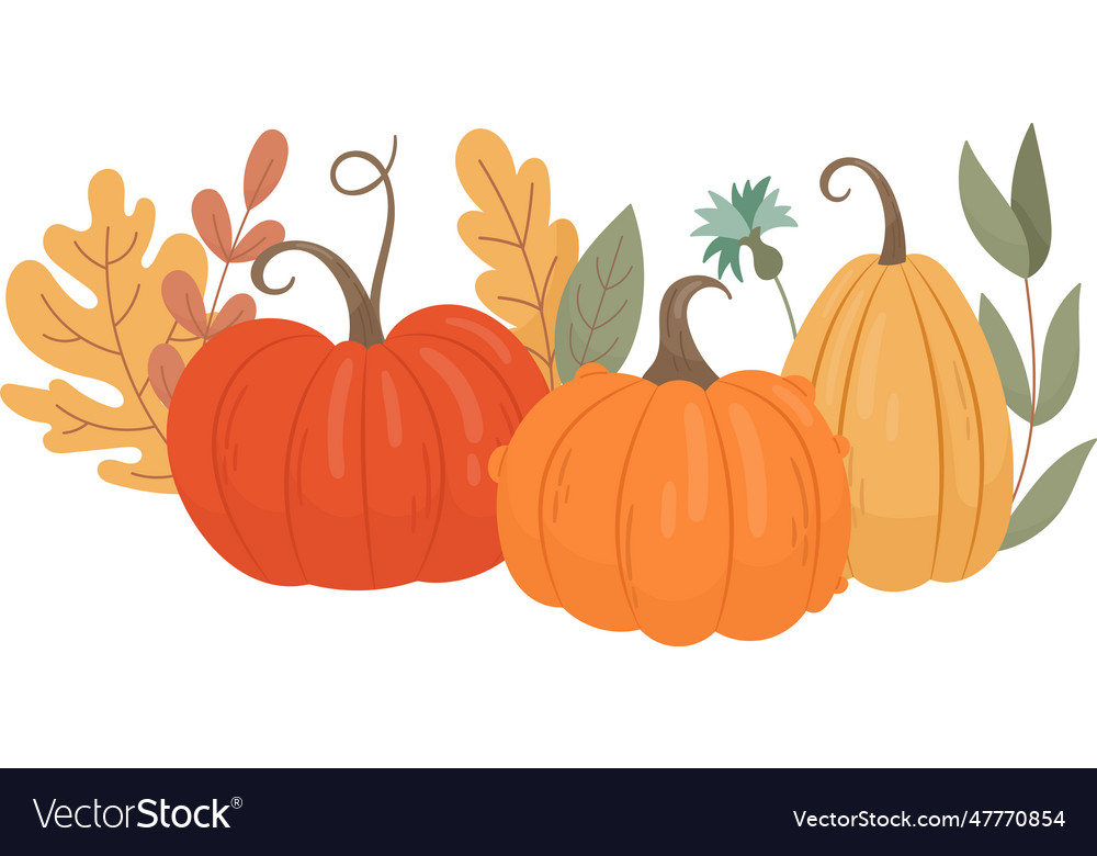 Floral pumpkins composition Royalty Free Vector Image