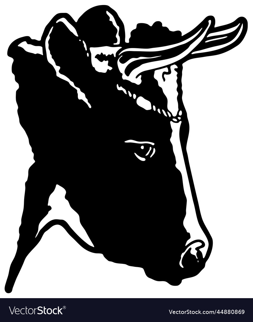 Cow face logo cattle face sketch icon logo Vector Image