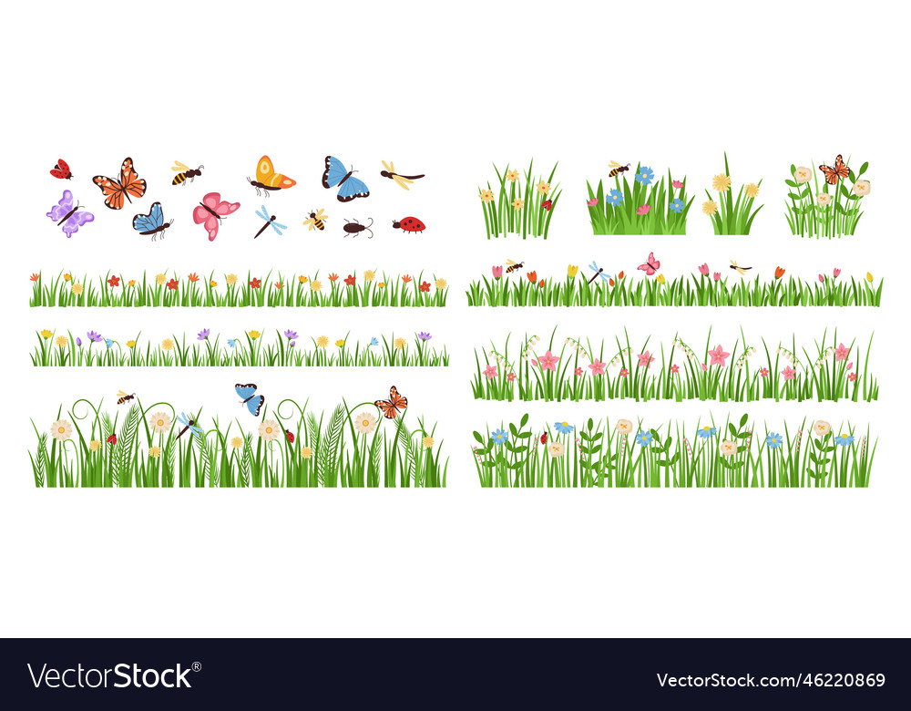 Early spring garden flowers forest and garden Vector Image