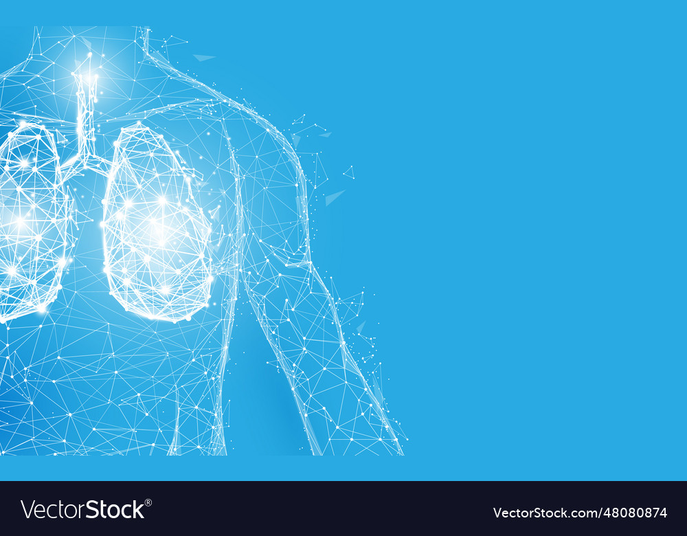 Human lungs anatomy form lines and triangles Vector Image