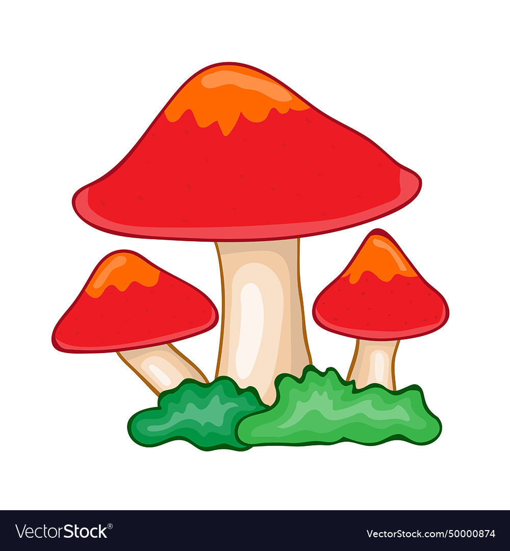 Mushroom isolated Royalty Free Vector Image - VectorStock