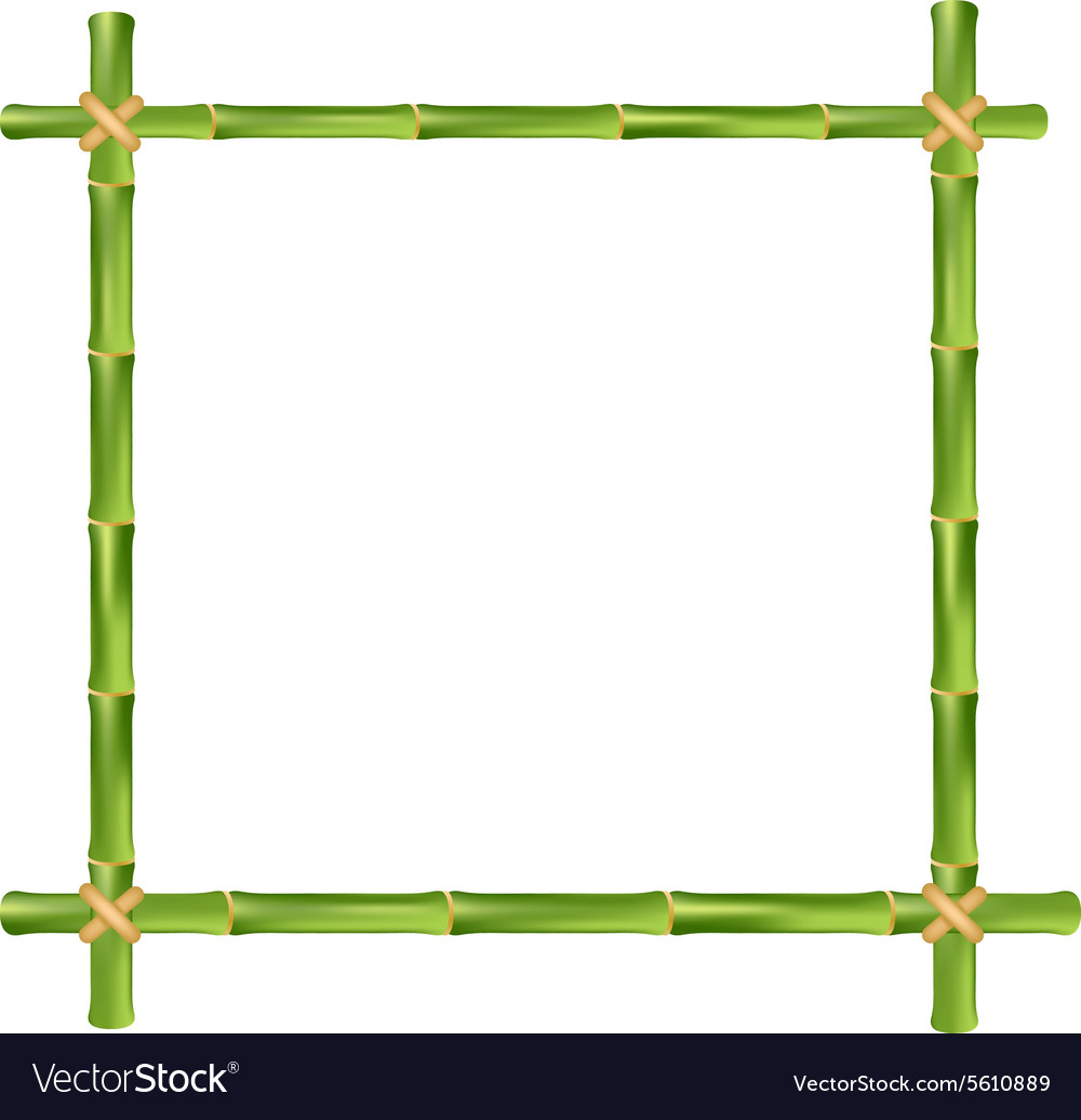 Bamboo Frame Royalty Free Vector Image - Vectorstock