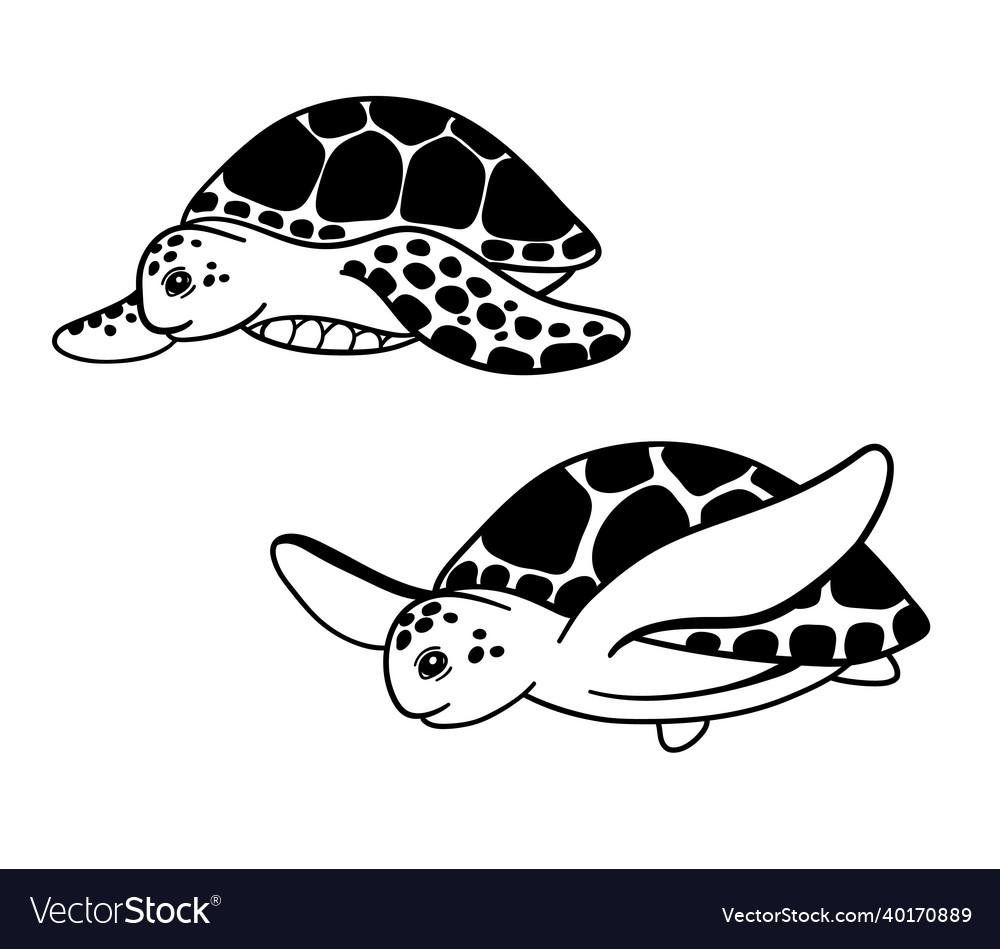 Cute sea turtle is swimming black and white Vector Image