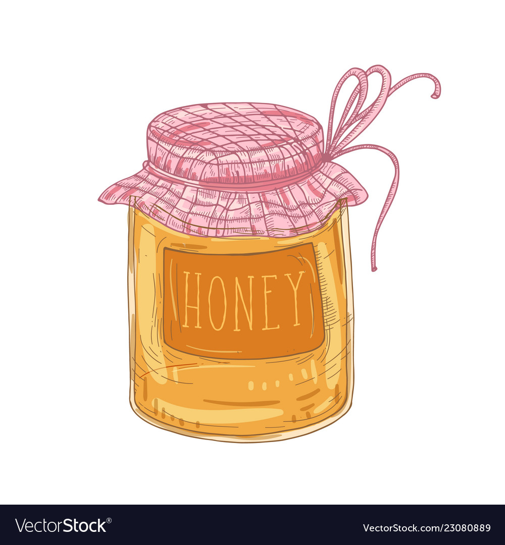 Elegant drawing glass jar delicious organic Vector Image