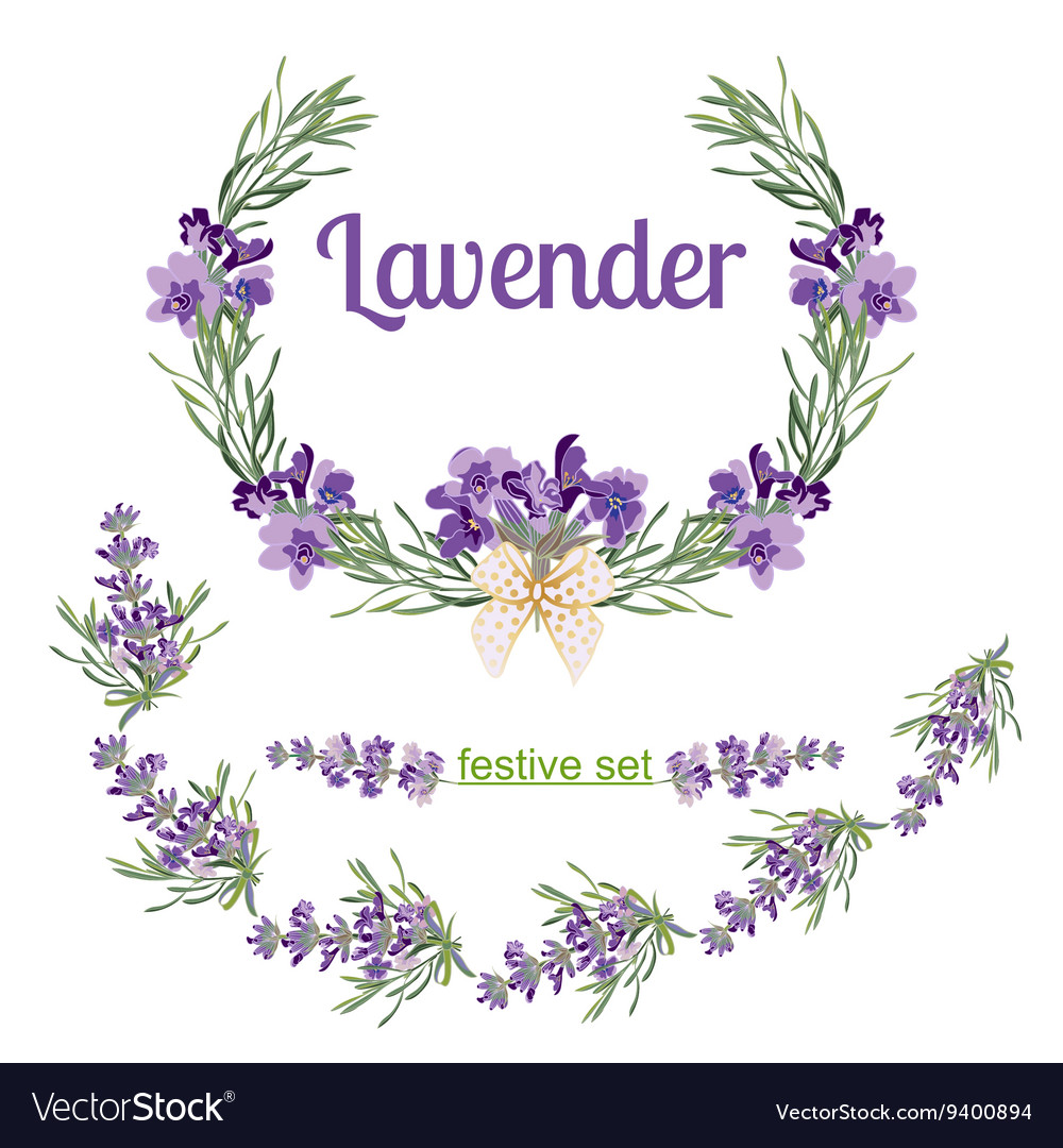 Set Festive Frames And Elements With Lavender Vector Image