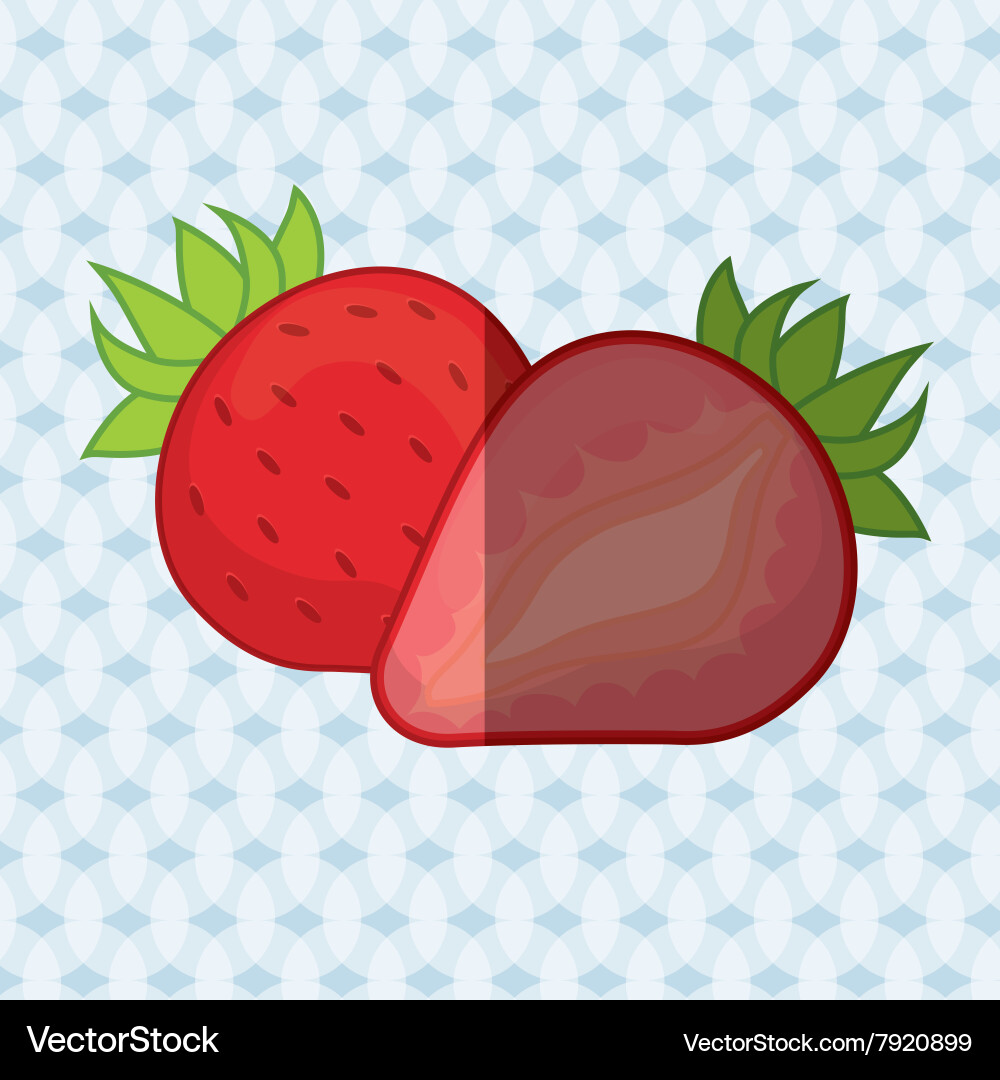 Fruit icon design Royalty Free Vector Image - VectorStock