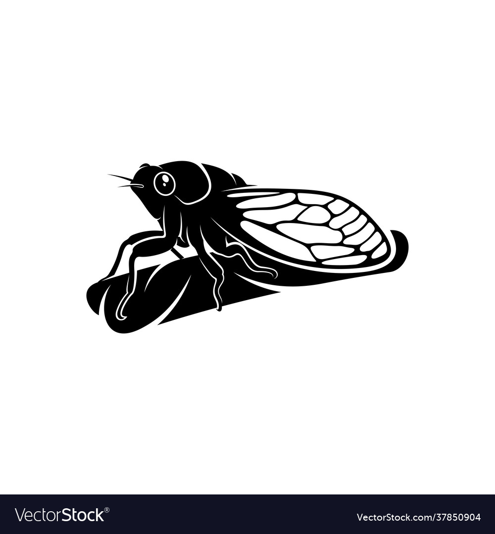 Cicada design creative logo Royalty Free Vector Image