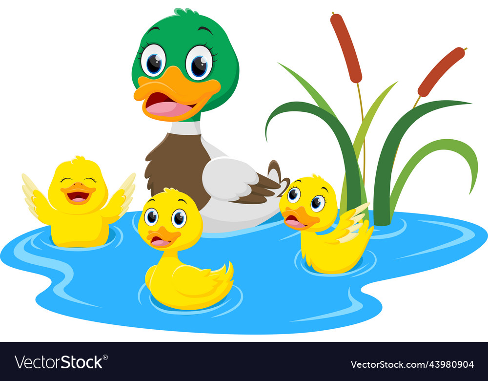 Happy duck family cartoon isolated on white backgr