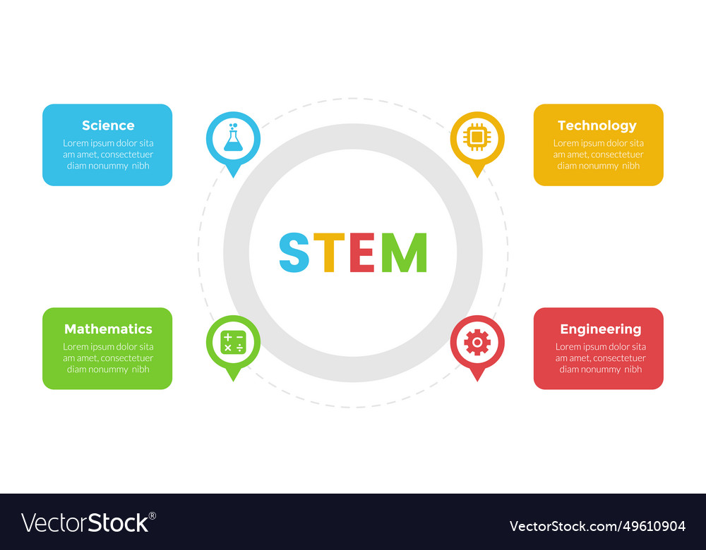 Stem Education Infographics Template Diagram Vector Image