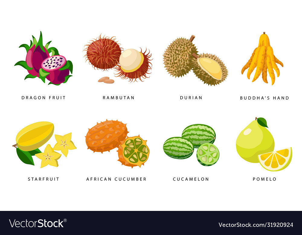 Set exotic fruits detailed icons Royalty Free Vector Image