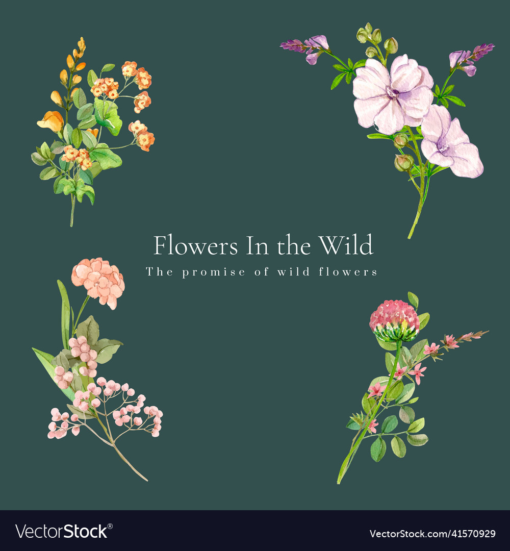 Bouquet template with wild flowers Royalty Free Vector Image