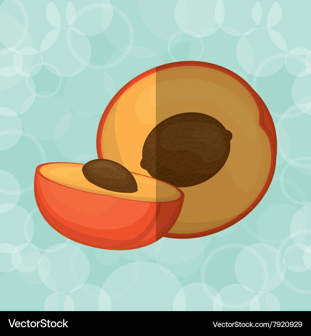 Fruit icon design Royalty Free Vector Image - VectorStock