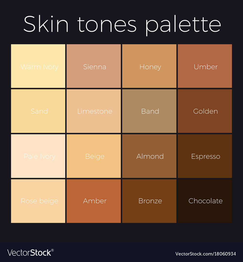 Skin Tones Palette Royalty Free Vector Image VectorStock