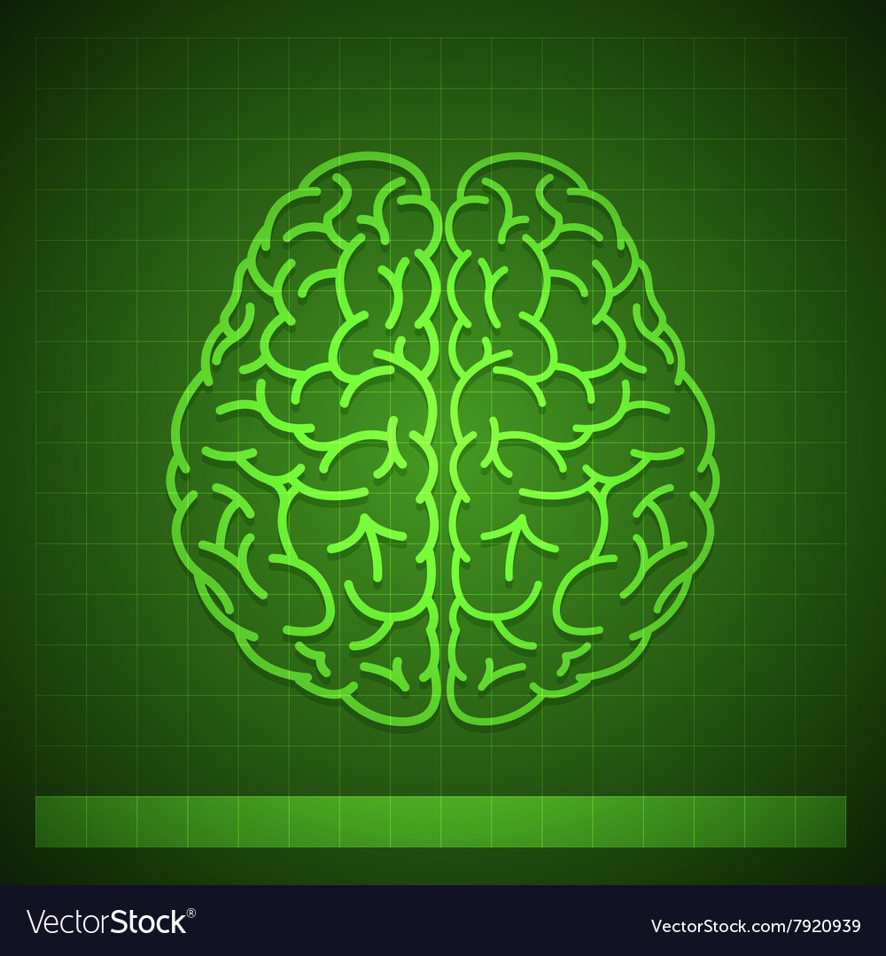 Human brain concept on green background Royalty Free Vector