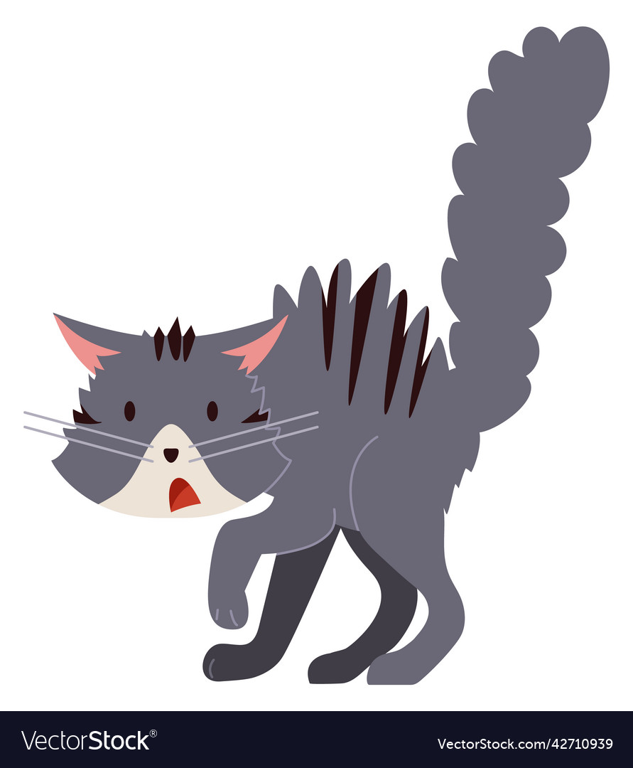 Scared Cat Icon Funny Gray Kitten In Fear Vector Image