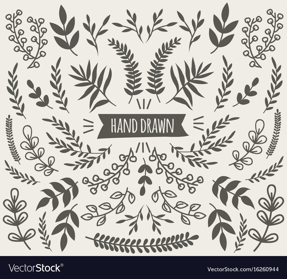 Hand Drawn Decorative Floral Elements Collection Vector Image 6084