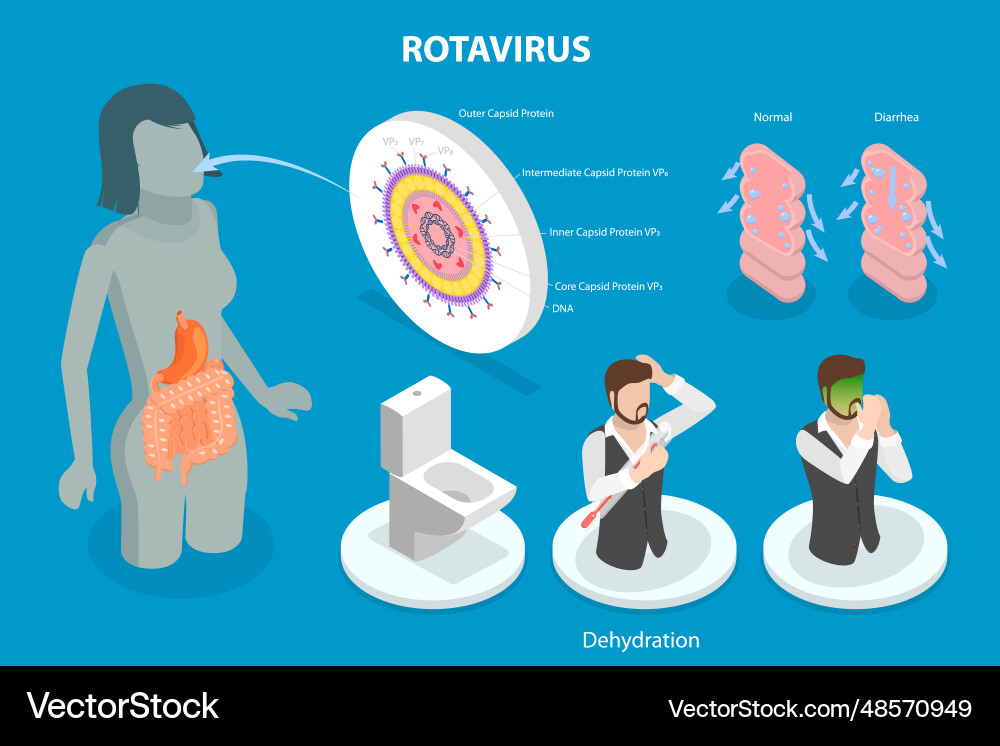 3d isometric flat conceptual Royalty Free Vector Image