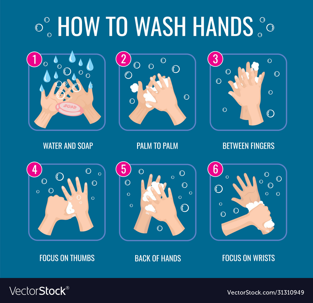 Hand washing instruction coronavirus virus Vector Image