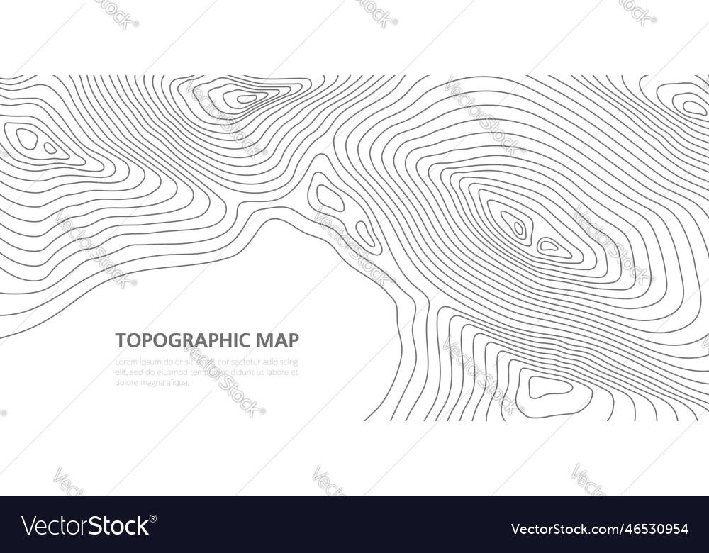 Topographic map grid texture or relief contour Vector Image