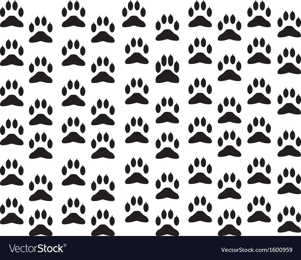 Dog foot print background