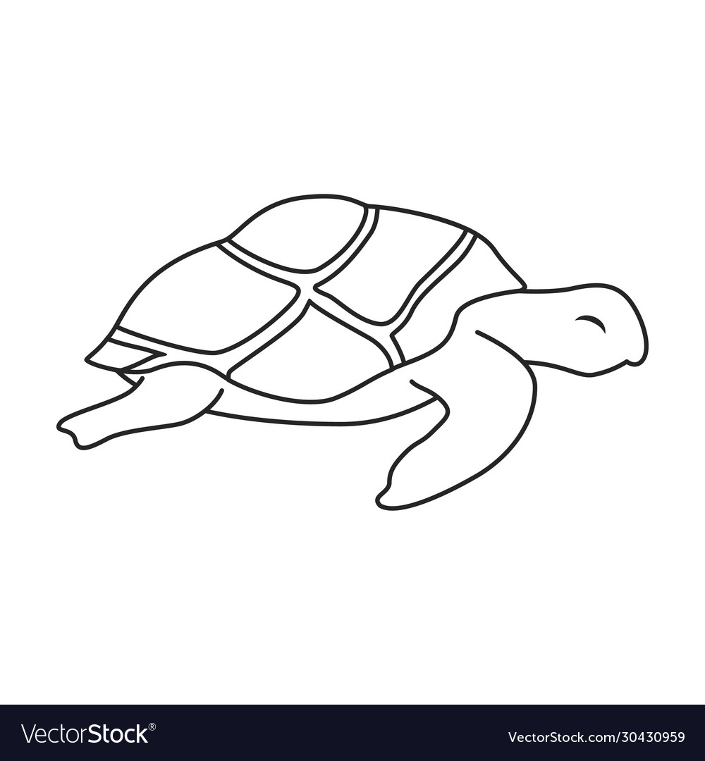 Sea turtle iconoutline icon