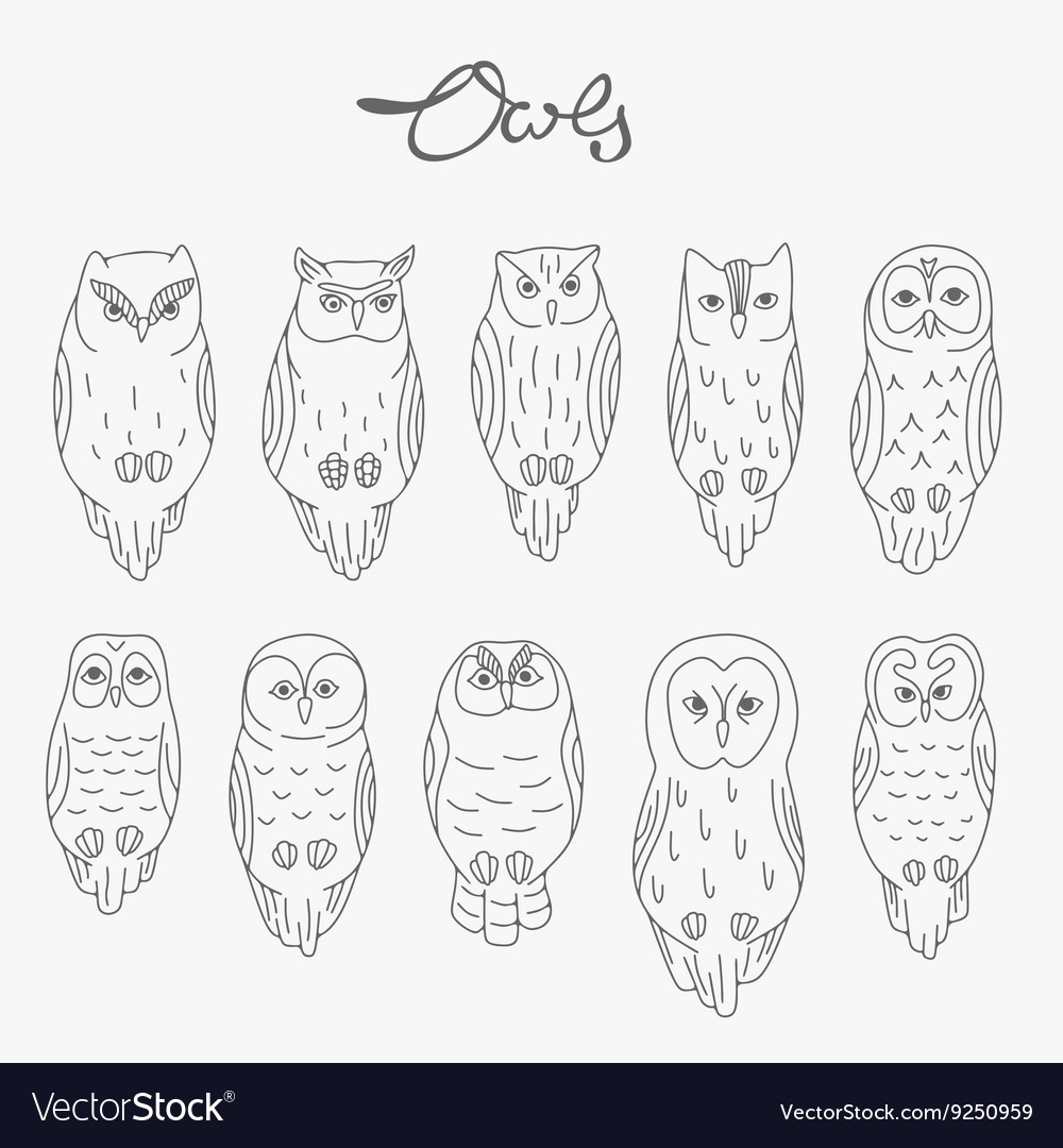 Two Different Eyes: Over 959 Royalty-Free Licensable Stock Vectors & Vector  Art