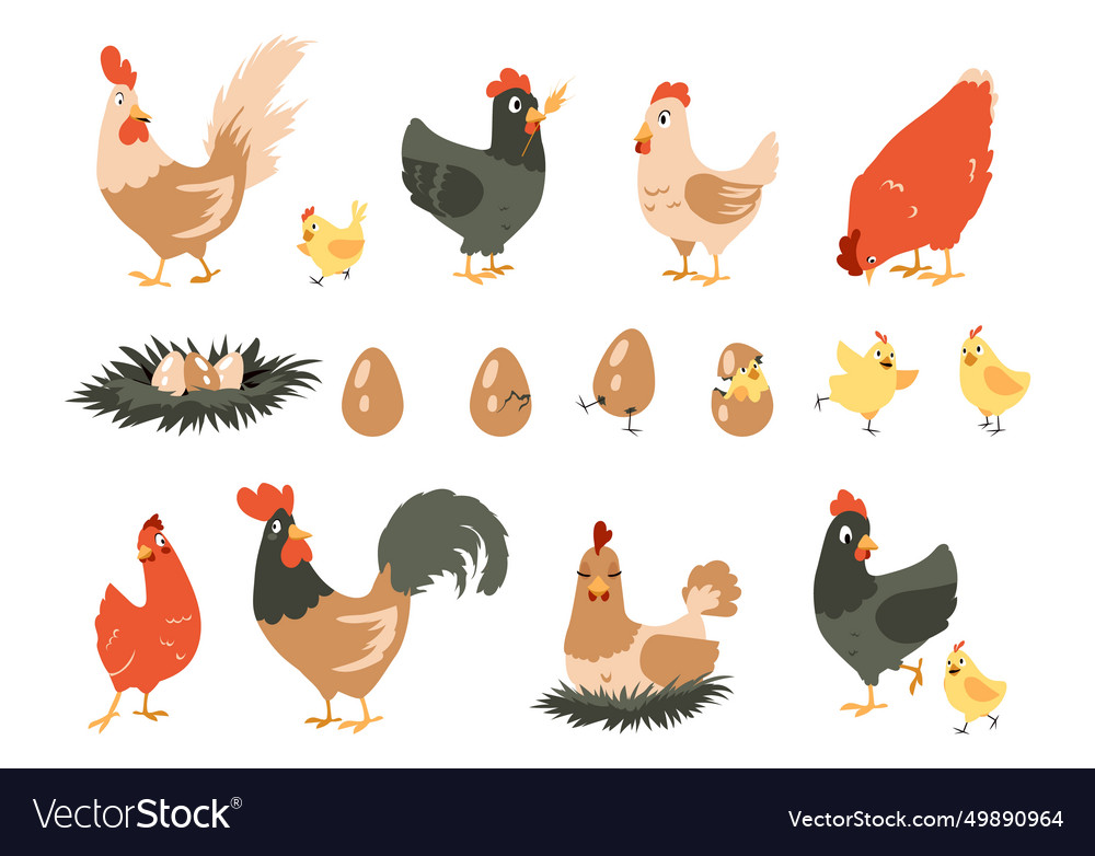 Cartoon chicken cute domestic farm animals hen Vector Image