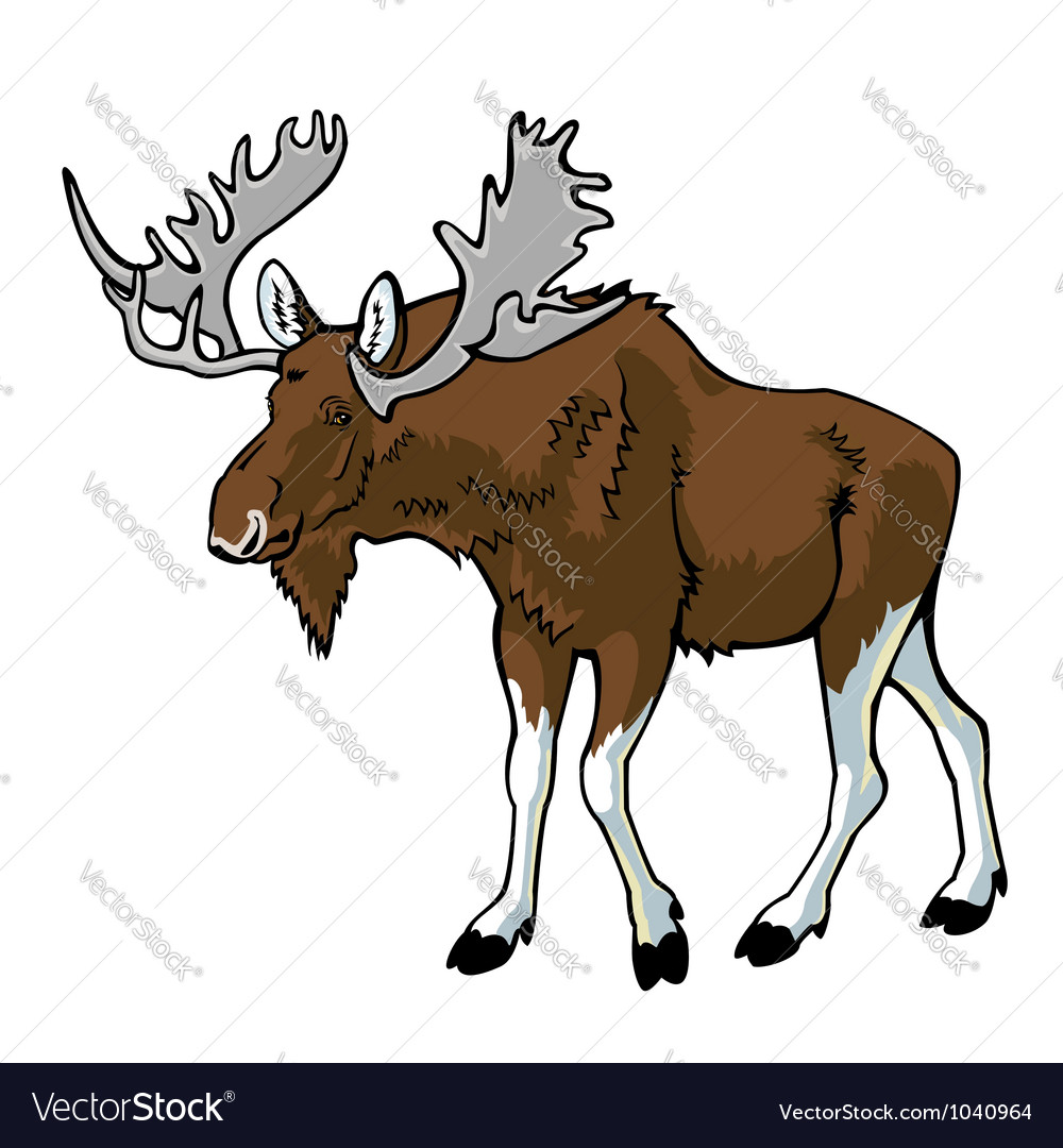 Moose Royalty Free Vector Image - VectorStock