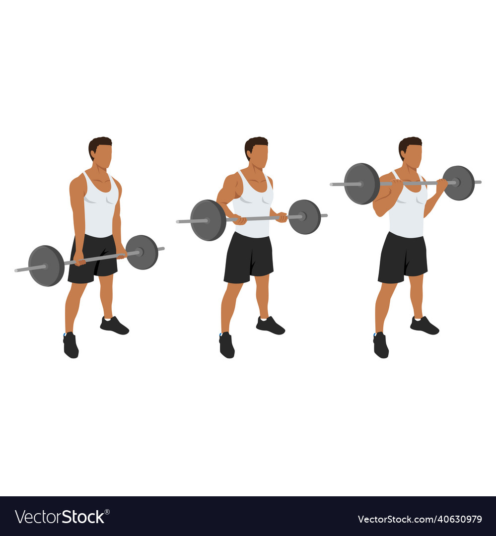 Barbell drag bicep curls exercise21 workout Vector Image