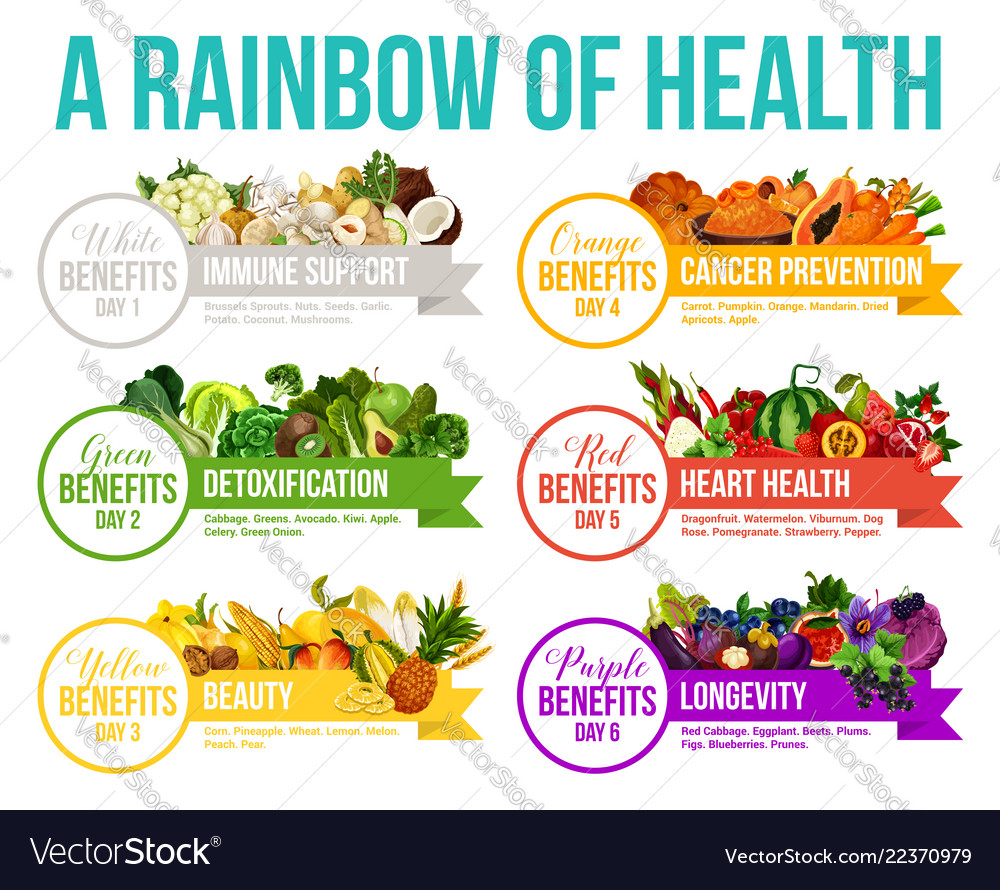 Color diet rainbow fruits and vegetables Vector Image