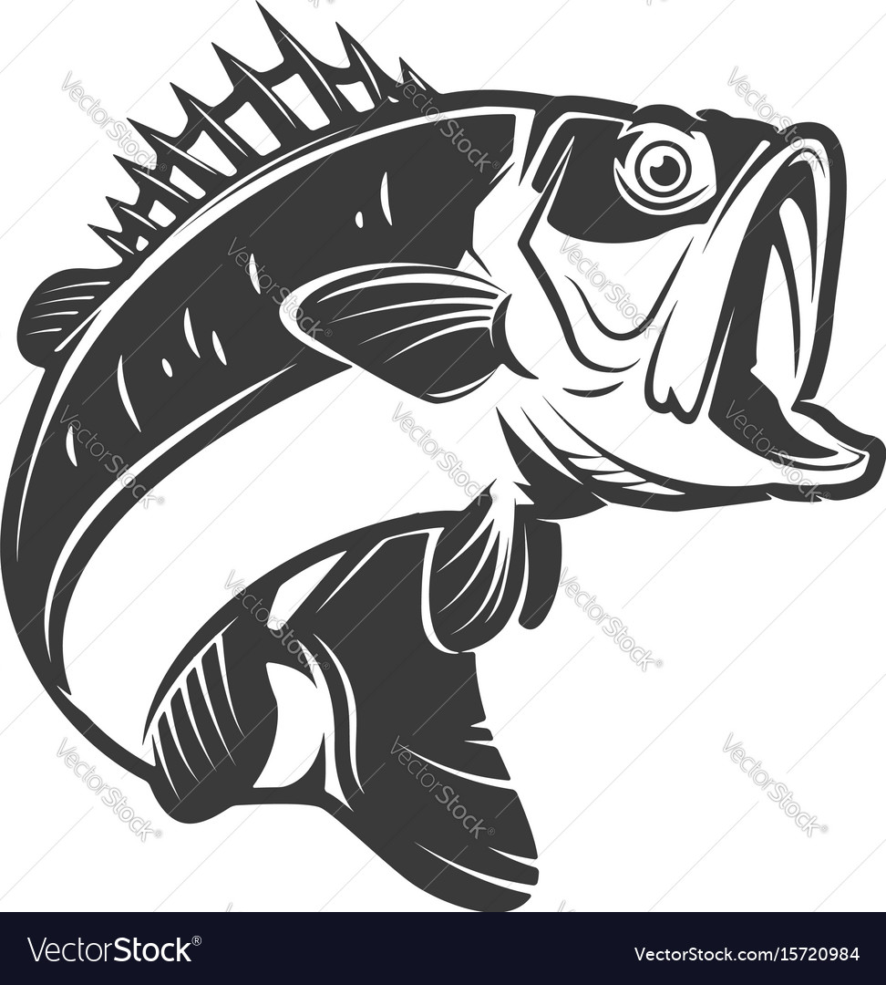 Bass fish icons isolated on white background Vector Image