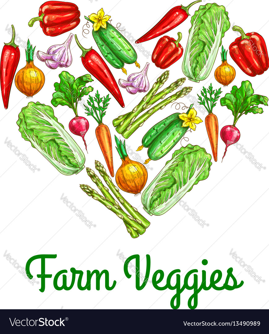 Heart Made Up Of Vegetables Sketch Poster Vector Image