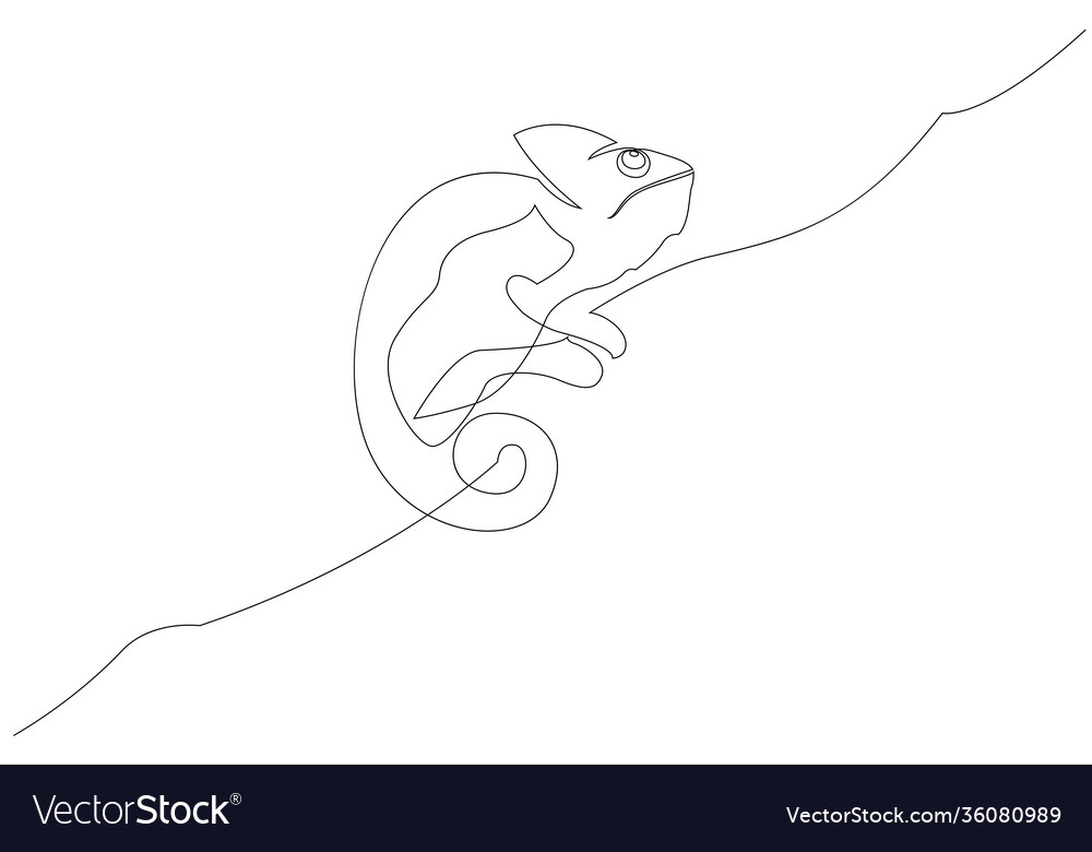 One line drawing chameleon continuous line Vector Image One line drawing chameleon continuous line Vector Image
