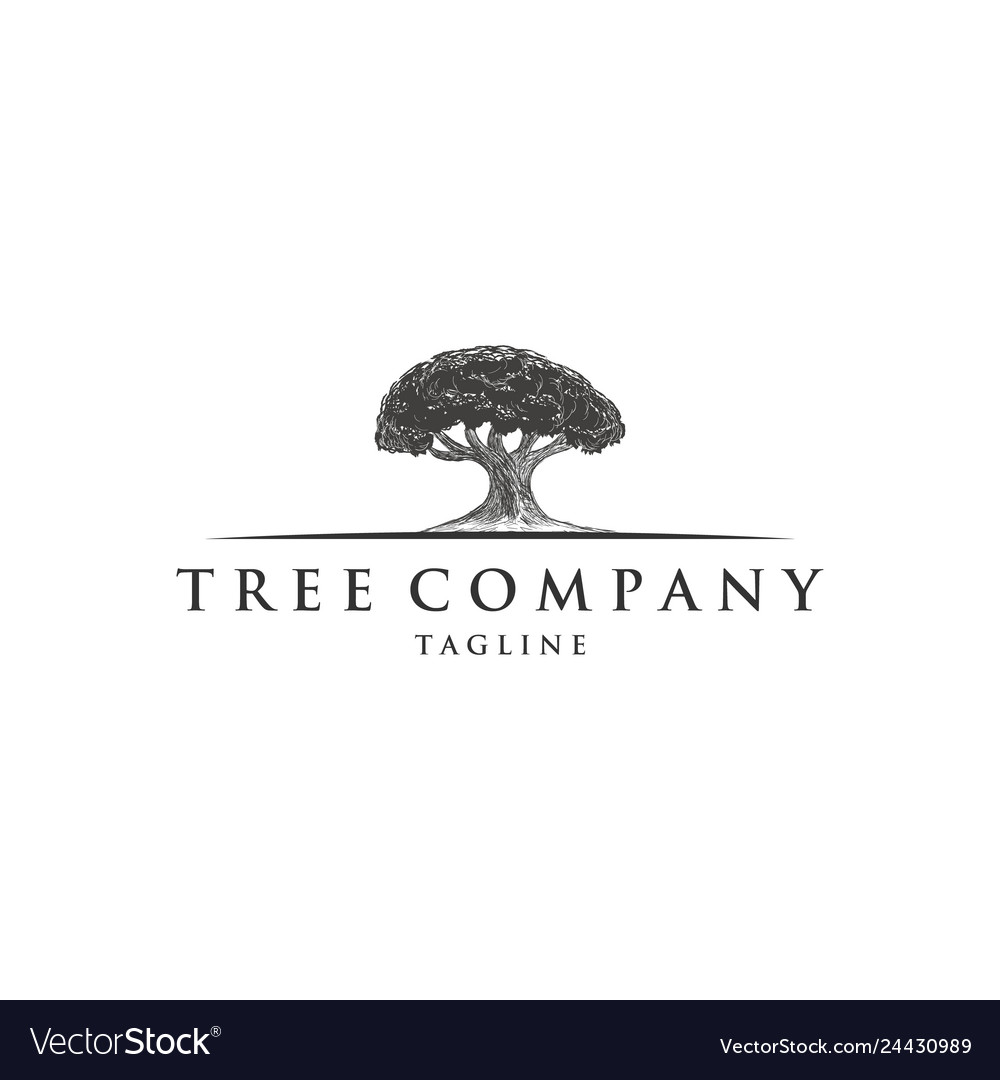 Vintage Oak Trees Logo Designs Royalty Free Vector Image