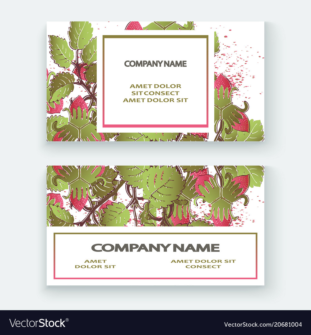 strawberry pattern design templates product hand vector image