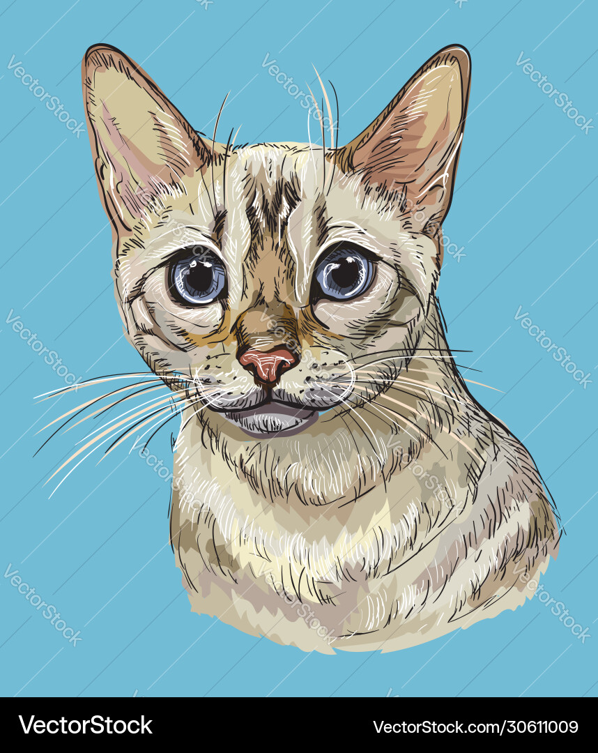 Hand drawing colorful cat 8 Royalty Free Vector Image