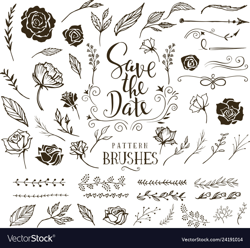 Collection of design elements for wedding vector image Collection of design elements for wedding