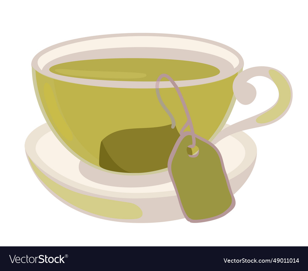 Cup of green tea isolated Royalty Free Vector Image