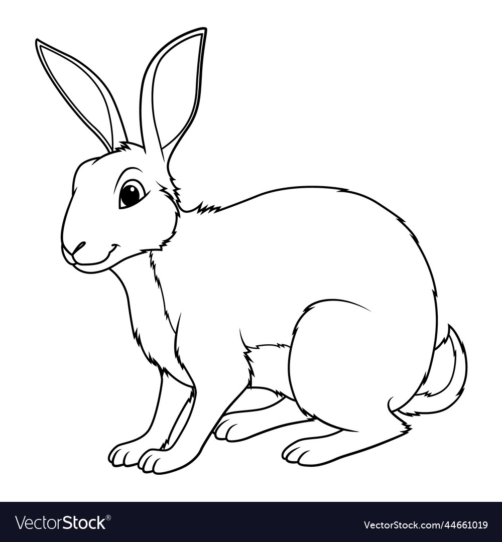 Belgian hare cartoon animal bw Royalty Free Vector Image