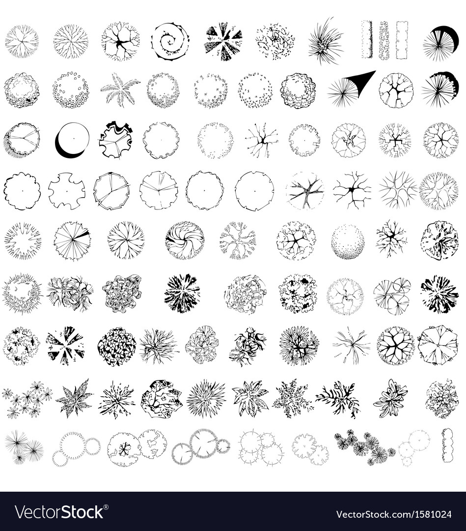 A set of colored treetop symbols Royalty Free Vector Image