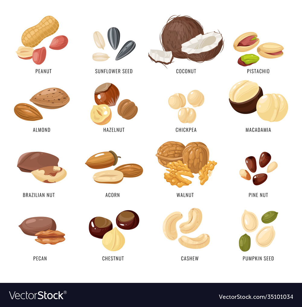 nuts-nutrition-comparison-chart-besto-blog