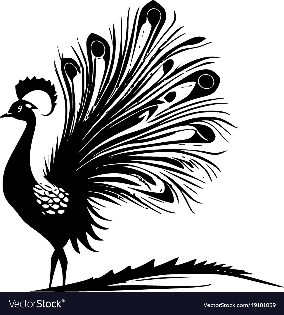 Peacock - black and white Royalty Free Vector Image