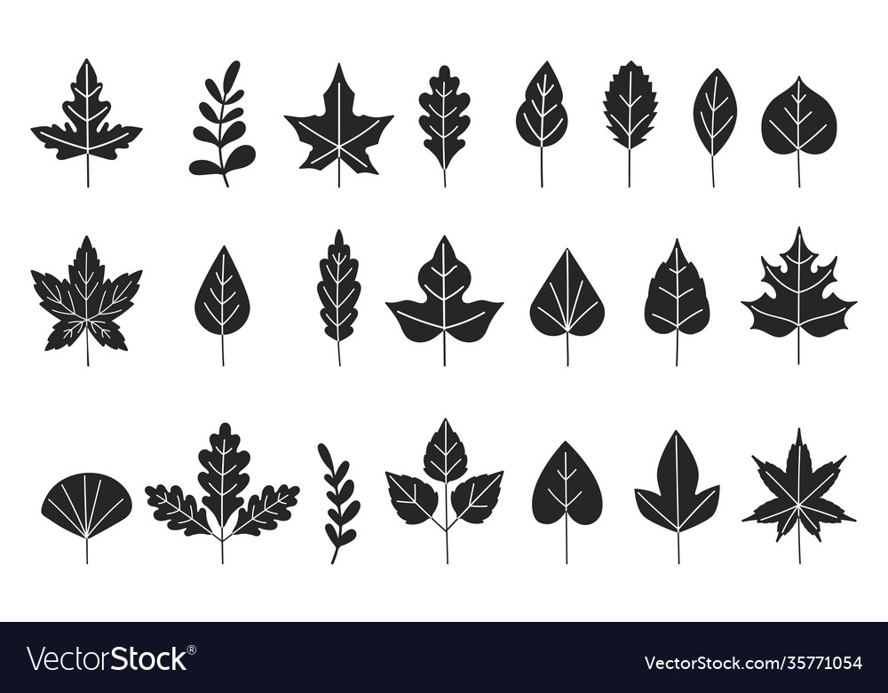 Black silhouettes tree leaves autumn Royalty Free Vector