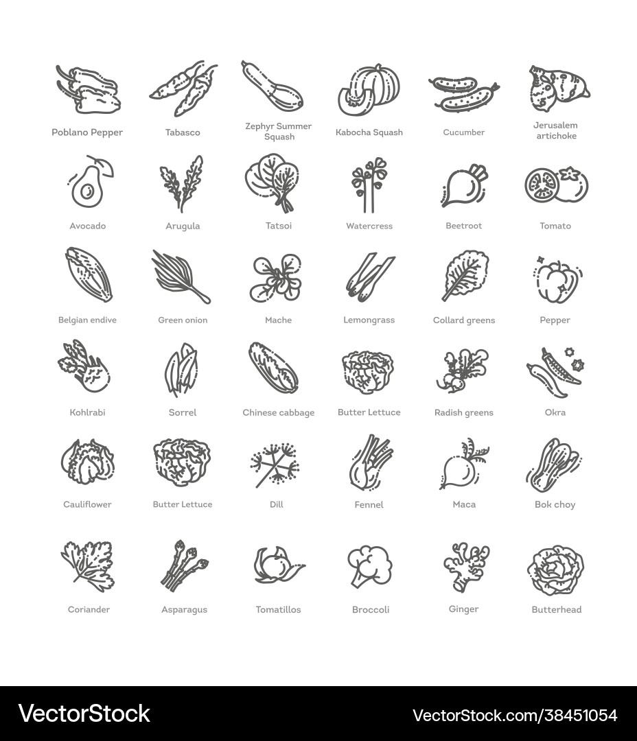 Vegetables set basic thin line icons Royalty Free Vector