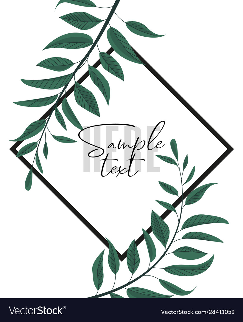 Floral greenery card design vector image Floral greenery card design