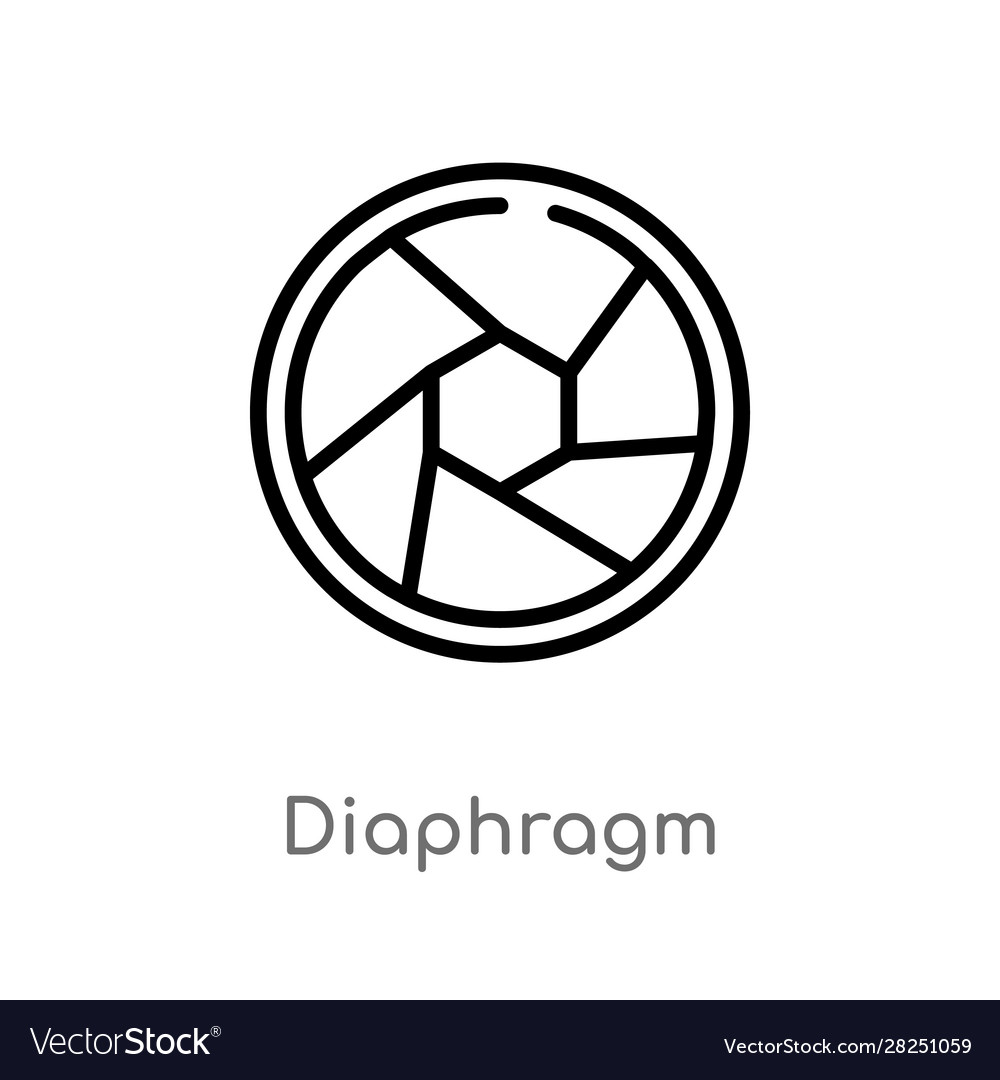 Outline diaphragm icon isolated black simple line Vector Image