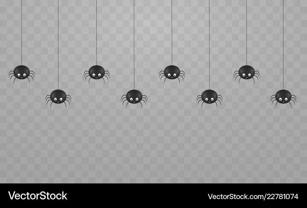 Black hanging cute spiders on a transparent Vector Image