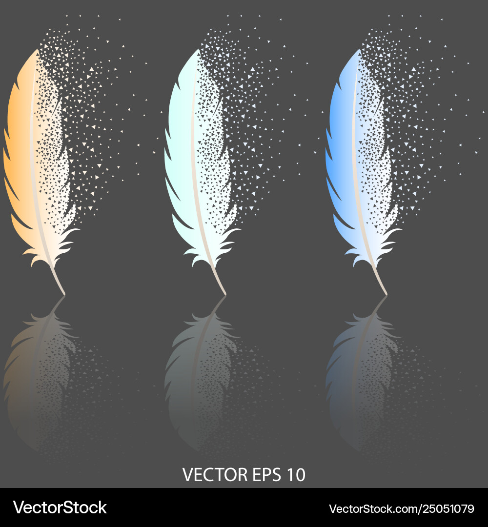 Feathers Royalty Free Vector Image - VectorStock