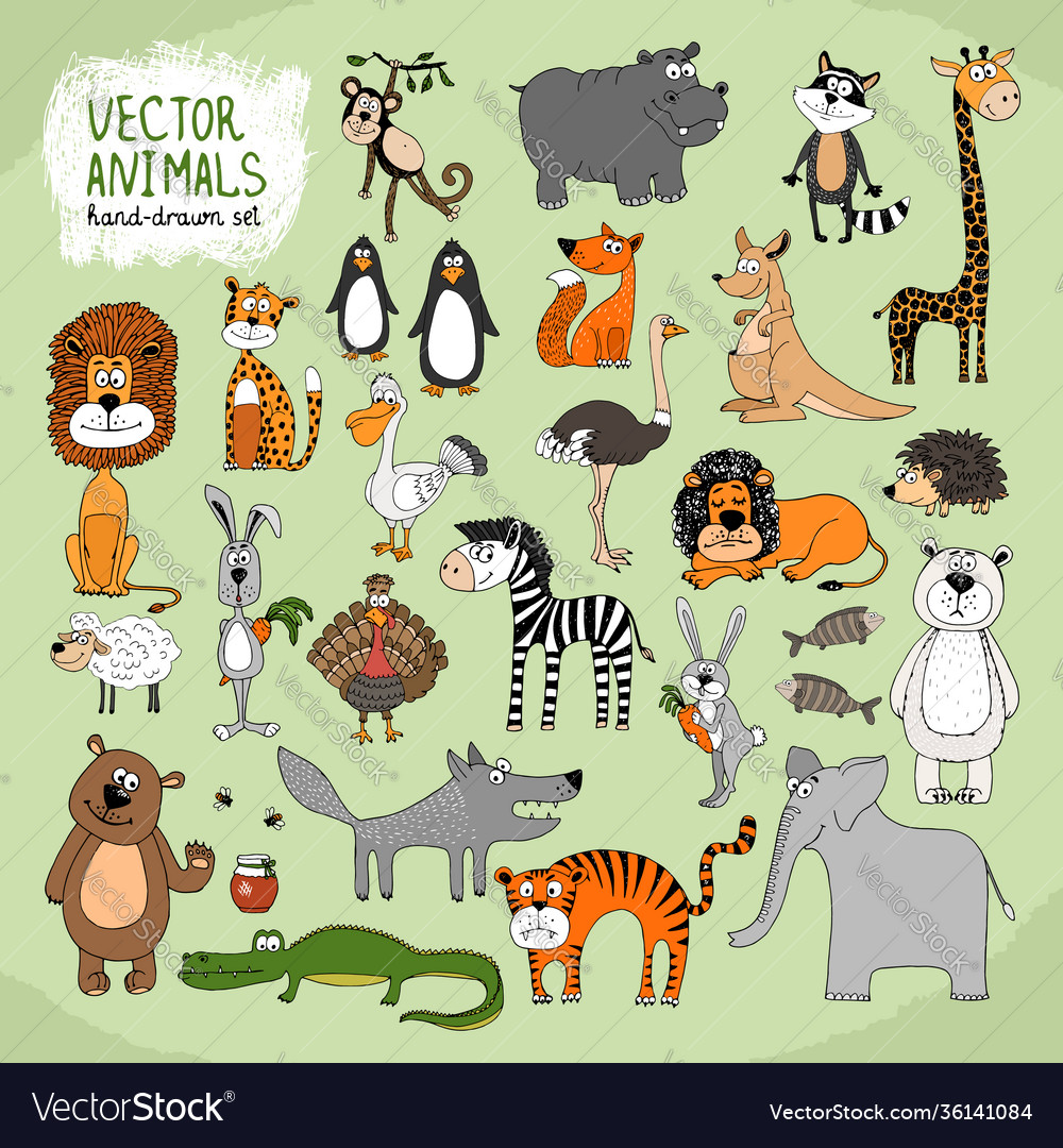 Free Vector  Hand drawn wild animals