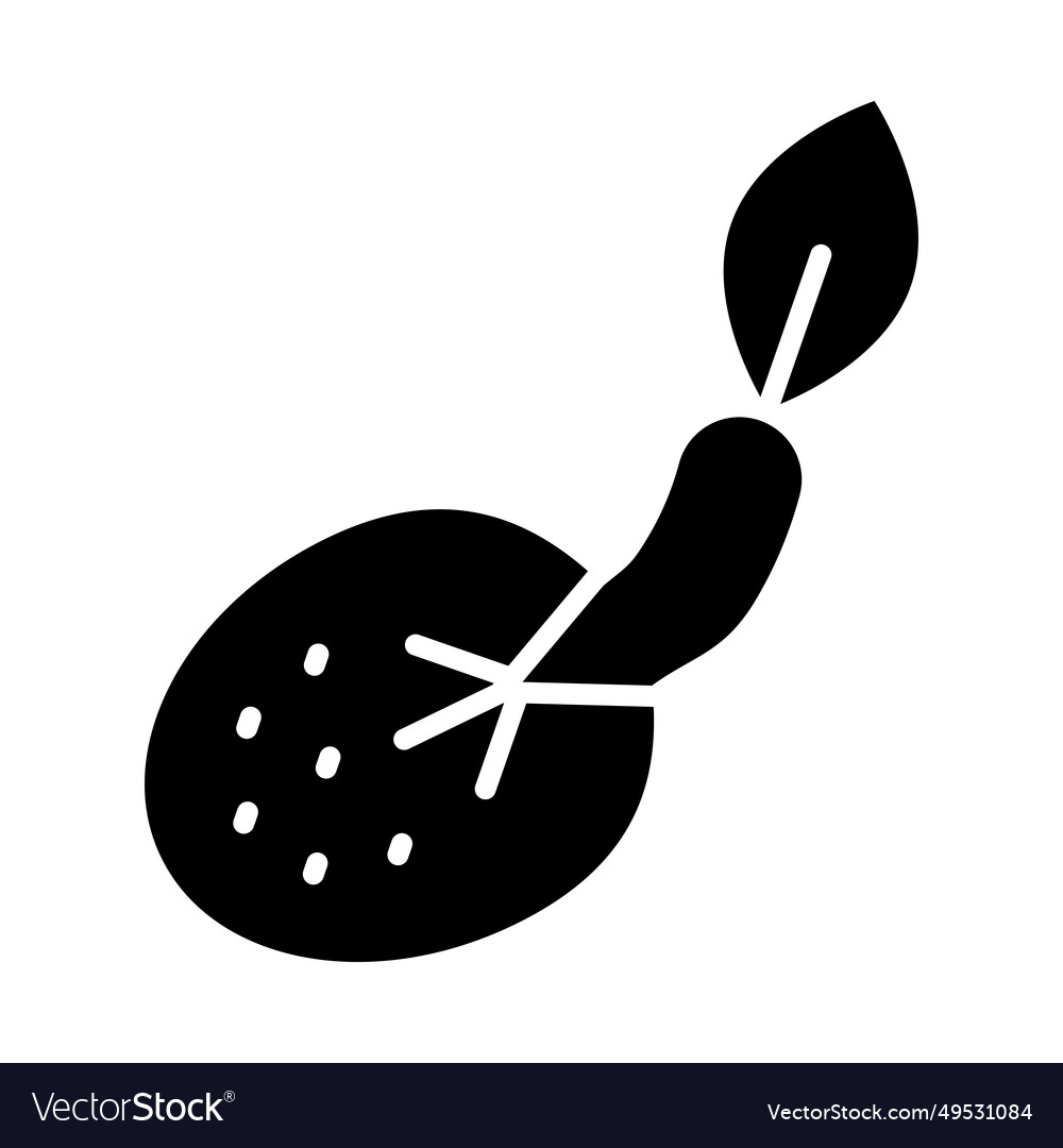 Seeds glyph icon for personal and commercial use Vector Image